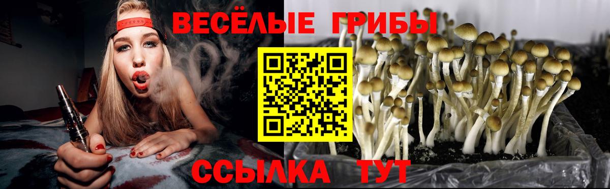 Псилоцибиновые грибы ЛСД Бузулук